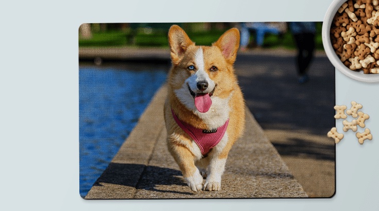 pet mat